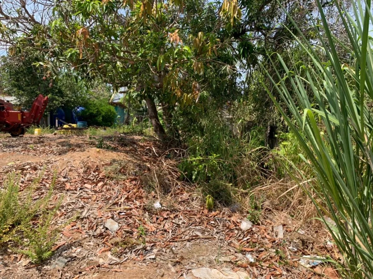 Se vende lote de 500 metros cuadrados en la localidad de pedasi, provincia de los santos.