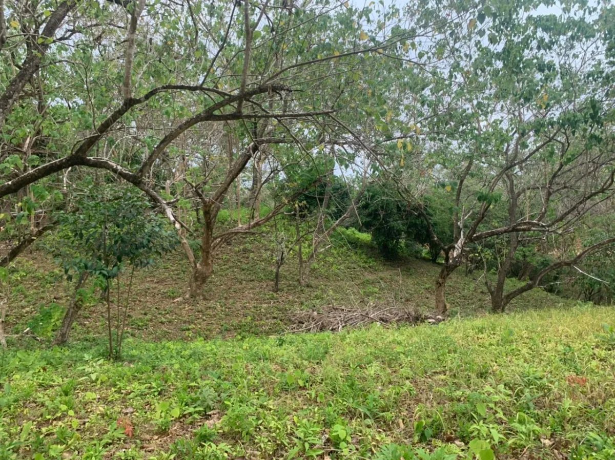 Lote en venta en santa catalina, veraguas. de 2700 metros cuadrados.