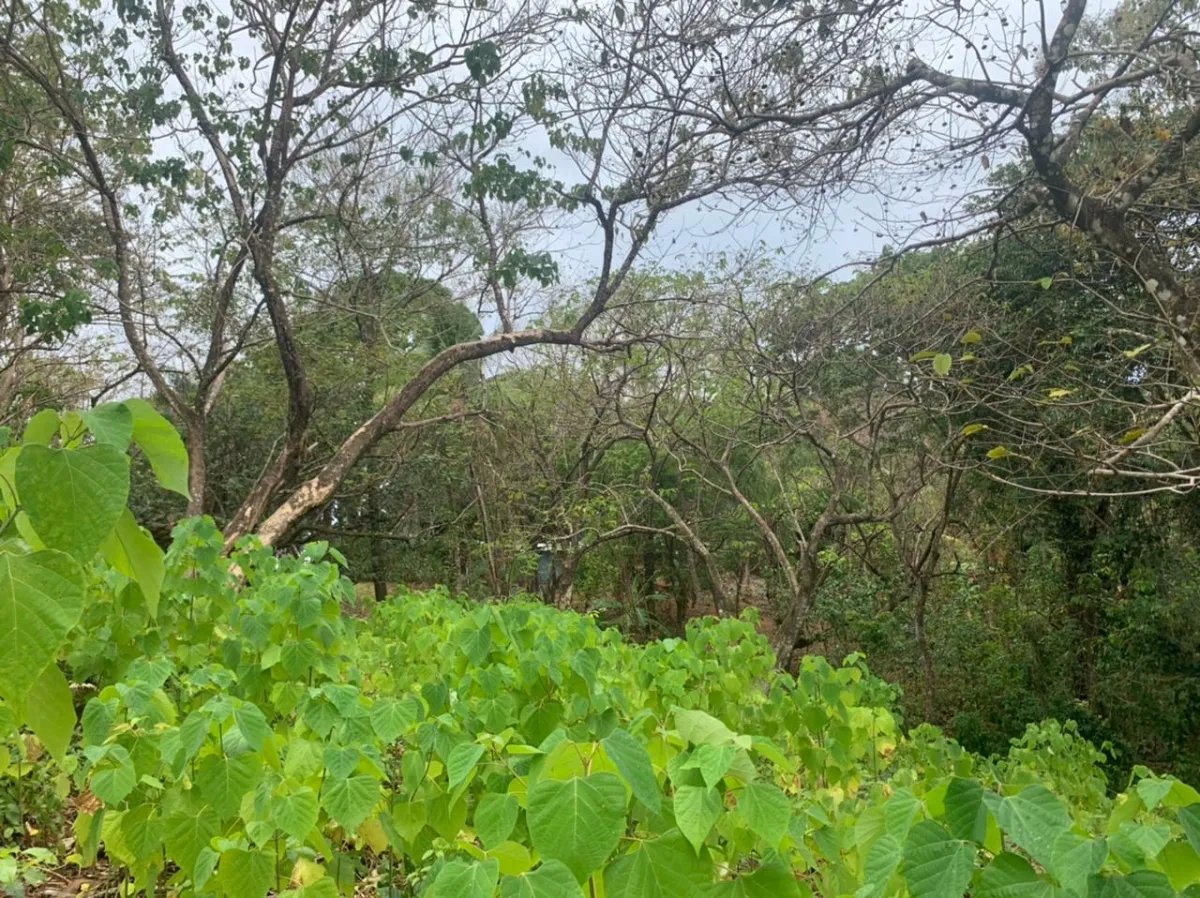 Lote en venta en santa catalina, veraguas. de 3200 metros cuadrados.