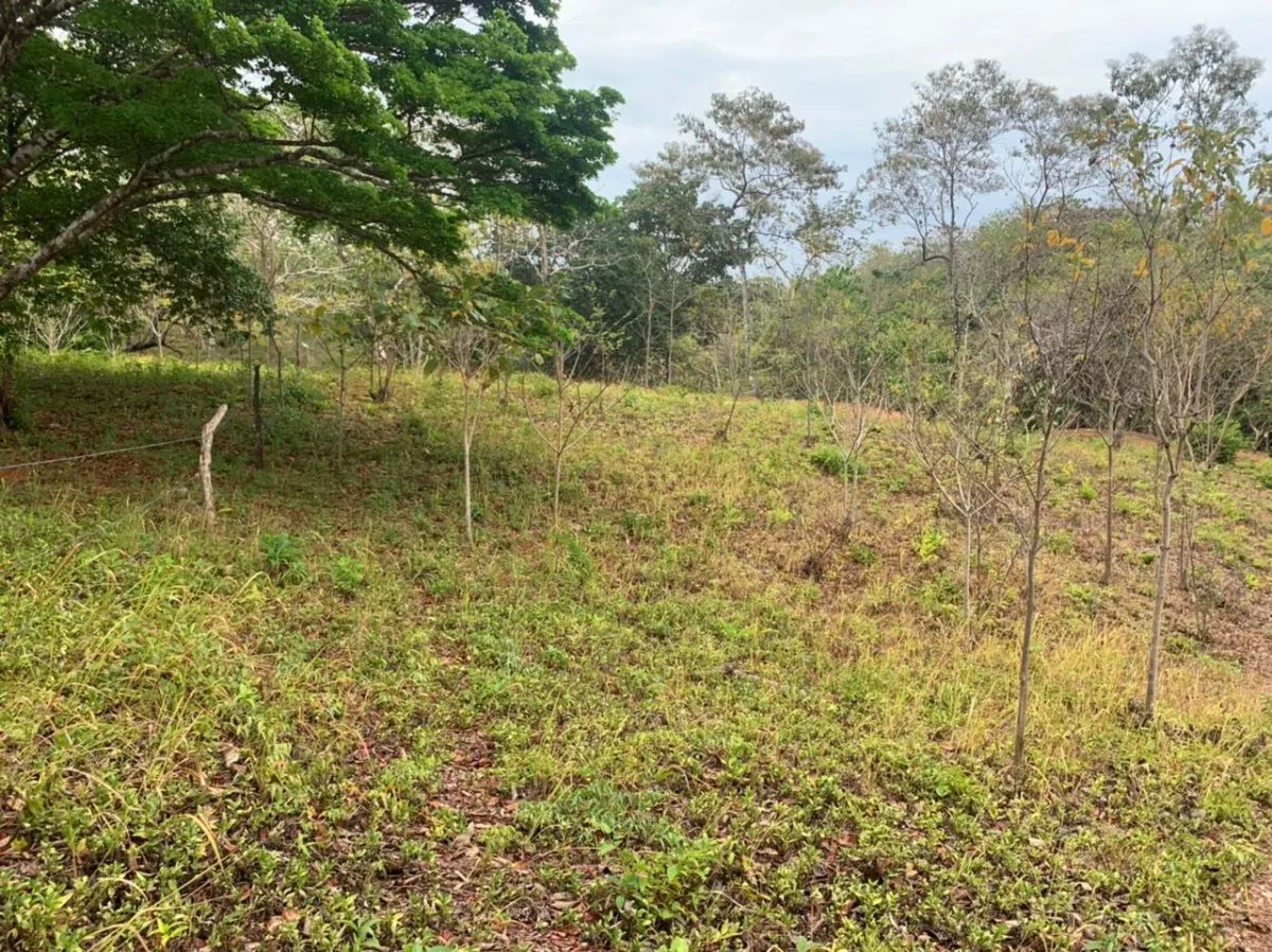 Lote en venta en santa catalina, veraguas. de 3200 metros cuadrados.