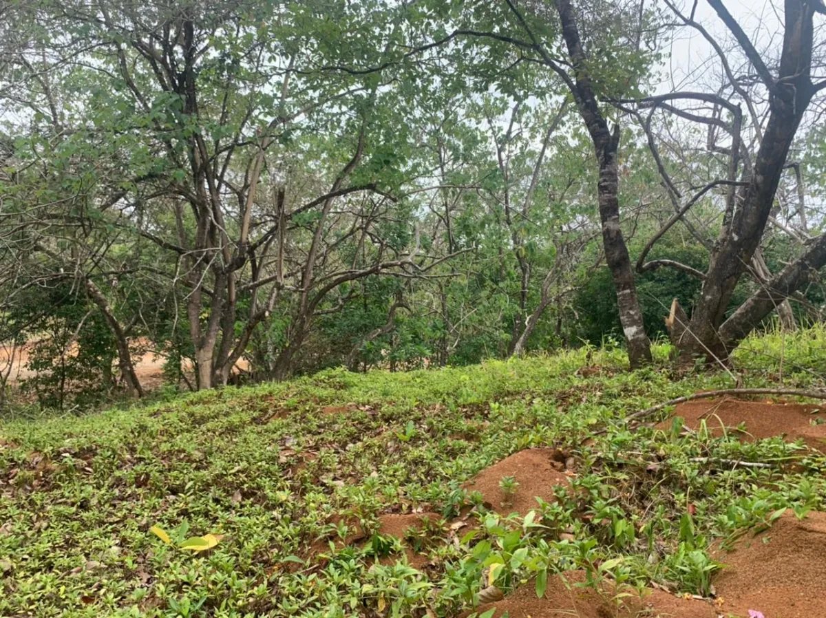 Lote en venta en santa catalina, veraguas. de 3200 metros cuadrados.
