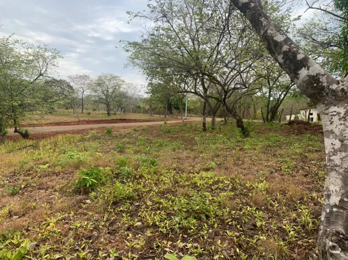 Lote en venta en santa catalina, veraguas. de 6700 metros cuadrados