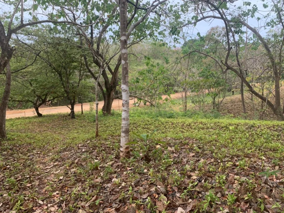 Lote en venta en santa catalina, veraguas. de 6700 metros cuadrados