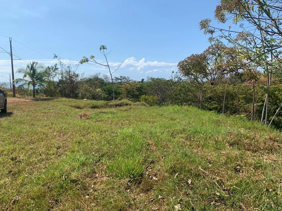 Lote en venta en comunidad residencial, torio hills, veraguas.