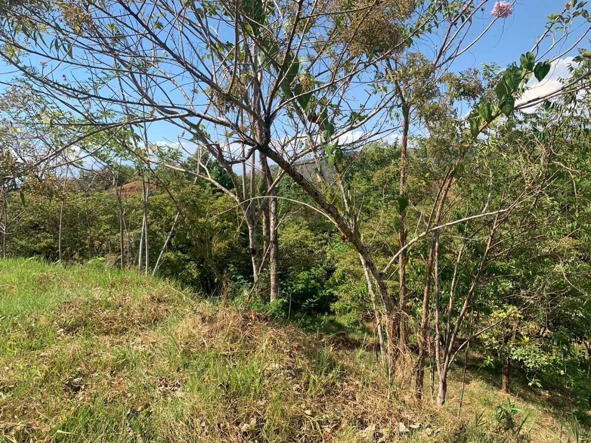 Lote en venta en comunidad residencial, torio hills, veraguas.