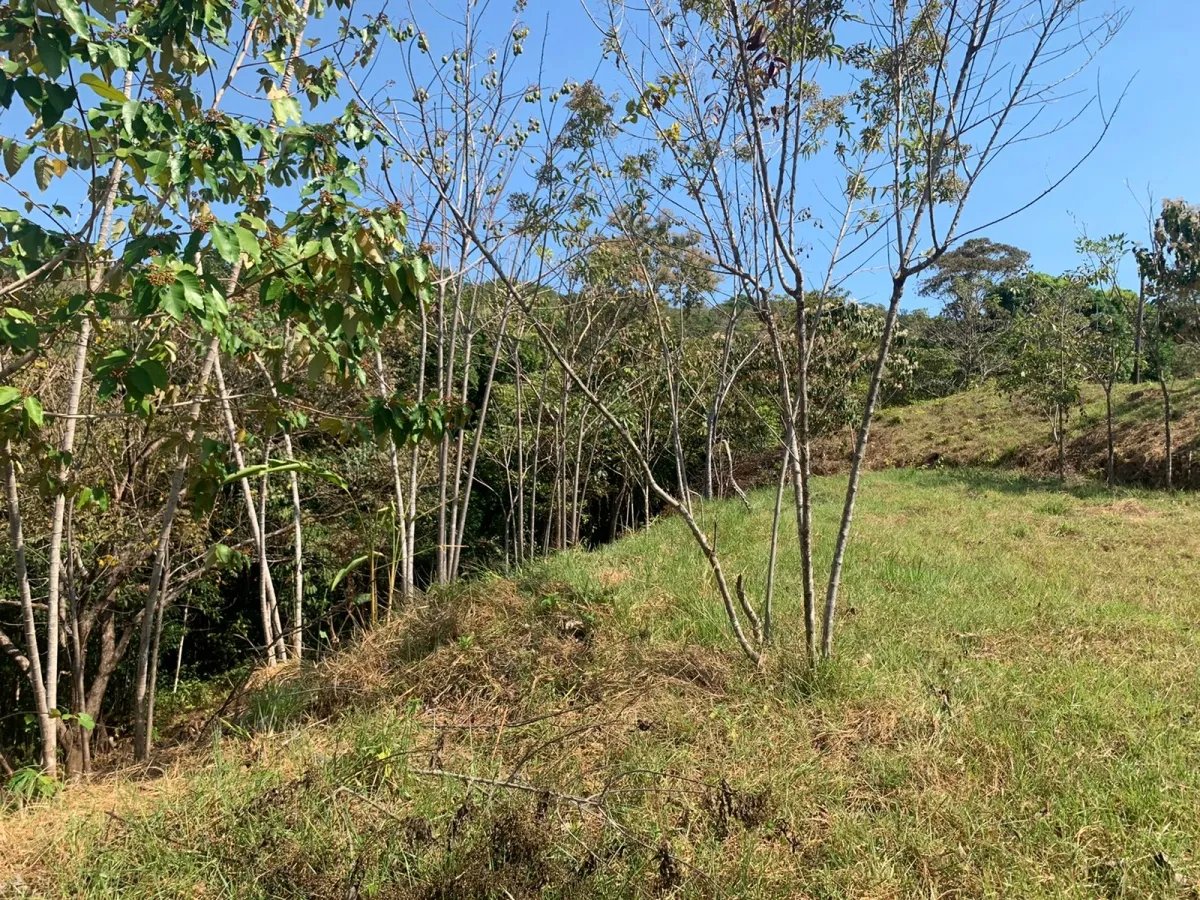 Lote en venta en comunidad residencial, torio hills, veraguas.