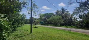 138960 - Las lajas - properties