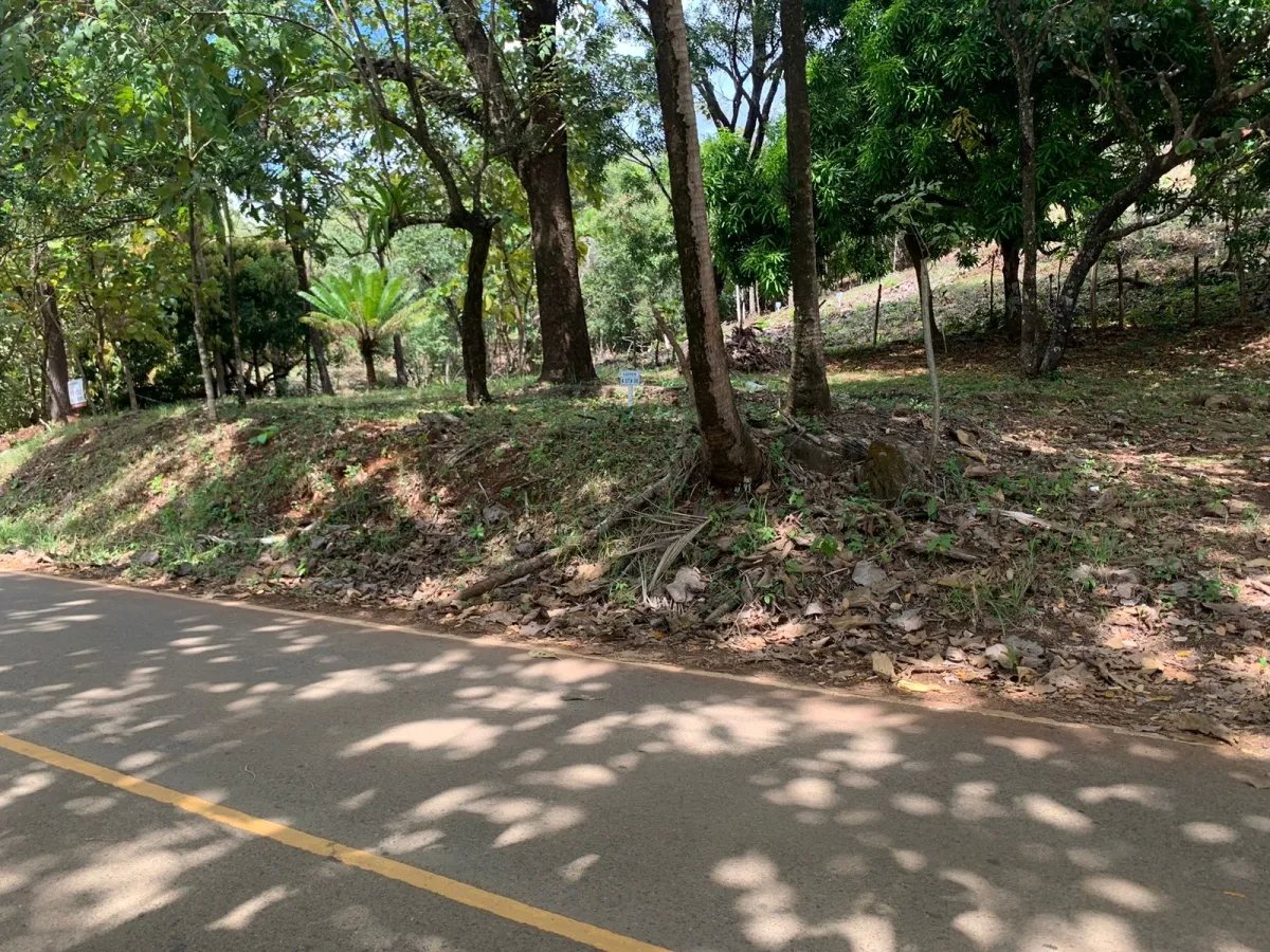 Lote de casa en venta en santa catalina