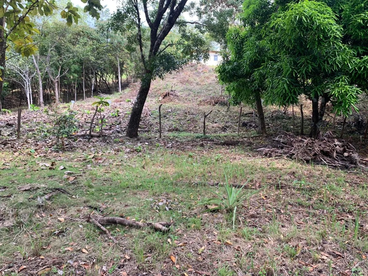 Lote de casa en venta en santa catalina
