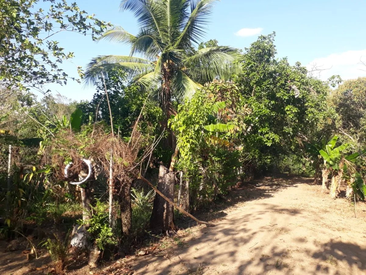 Casa en venta en el centro del municipio de guarumal, veraguas. cerca del destino turistico santa catalina.   casa ubicada frente al centro de salud d