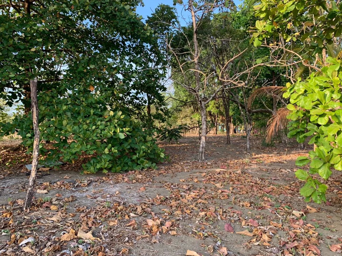 Se vende propiedad frente al mar, en mata oscura, veraguas.