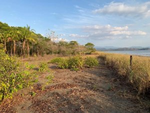 138977 - Veraguas - lots
