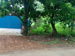 138986 - Santa catalina - properties
