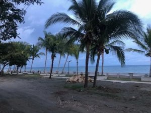 139149 - Puerto armuelles - properties