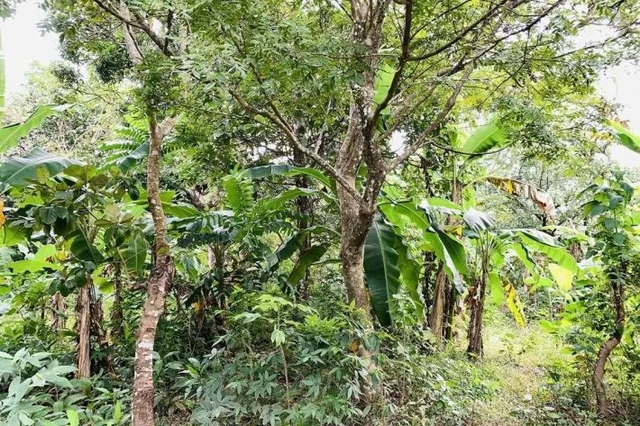 Venta de lote de terreno en antón, santa rita