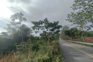 139309 - Chilibre - lots - residencial barrio lindo