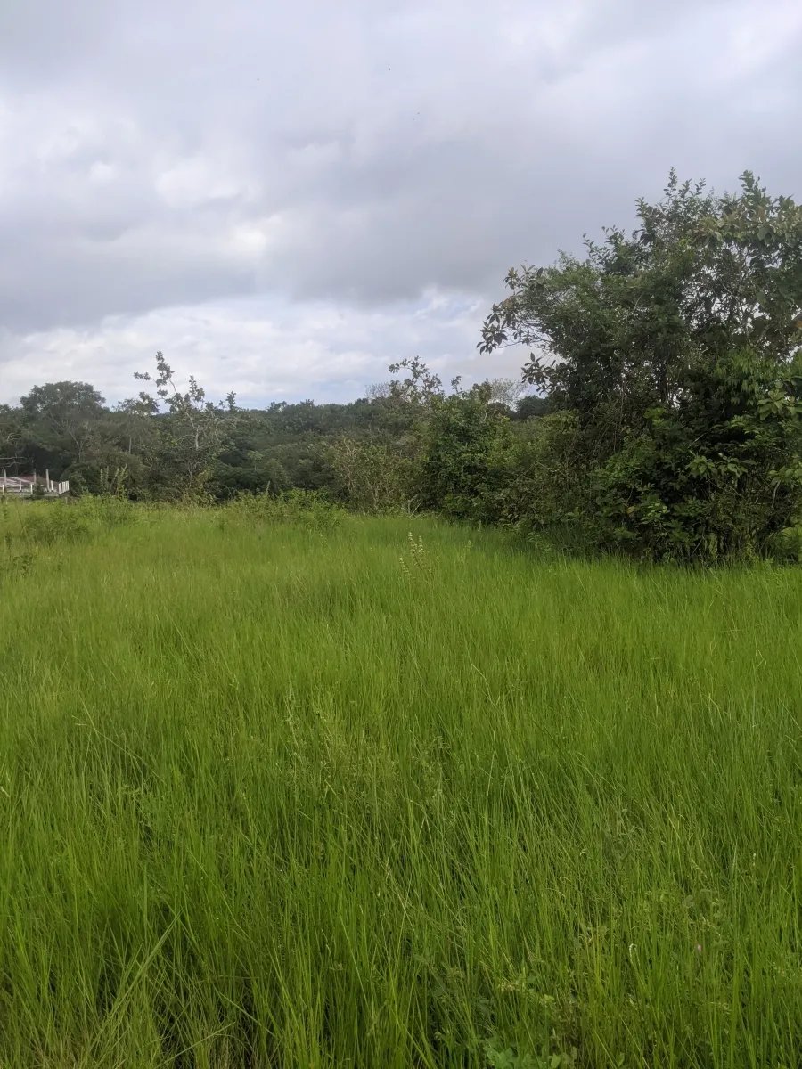 Gran terreno en el pueblo de playa las lajas