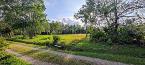 139388 - Boquete - houses - brisas boquete�as