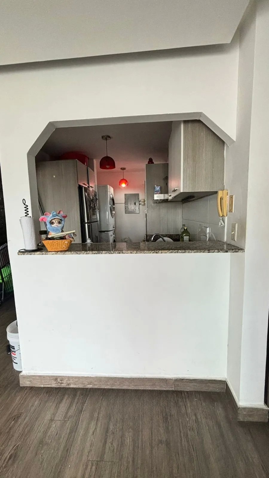 Alquiler de apartamento en el ph los toneles
