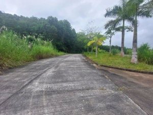 139546 - Pedregal - lots - ph ambar tower