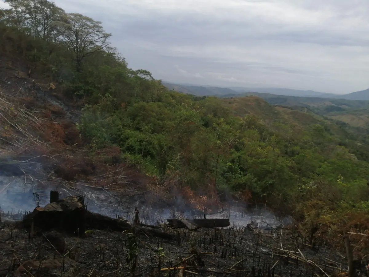 Venta de finca ganadera en veraguas, sector la pifa