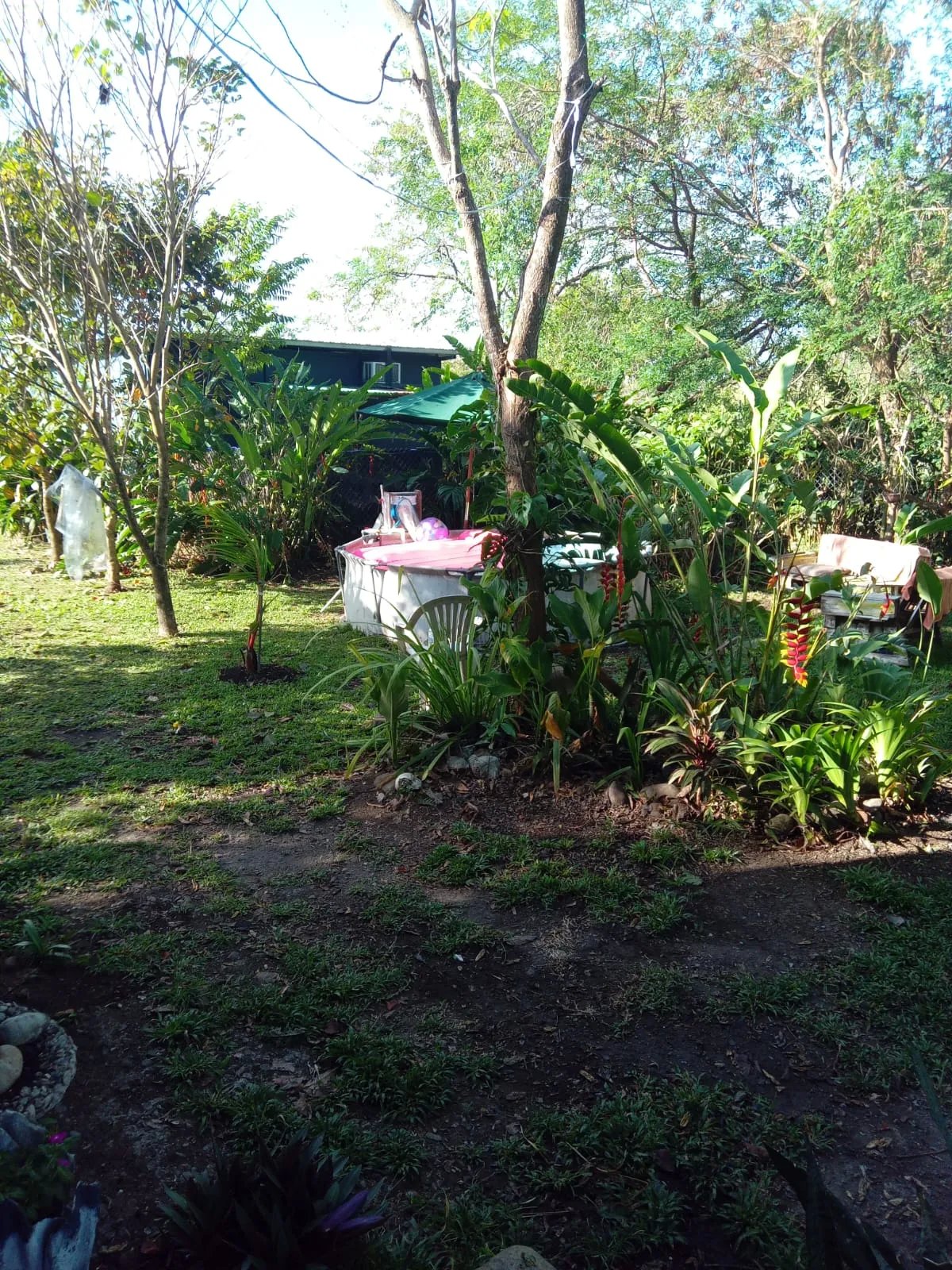 Tranquila y acogedora casa de campo a la venta - negociable/ cozy & qu...