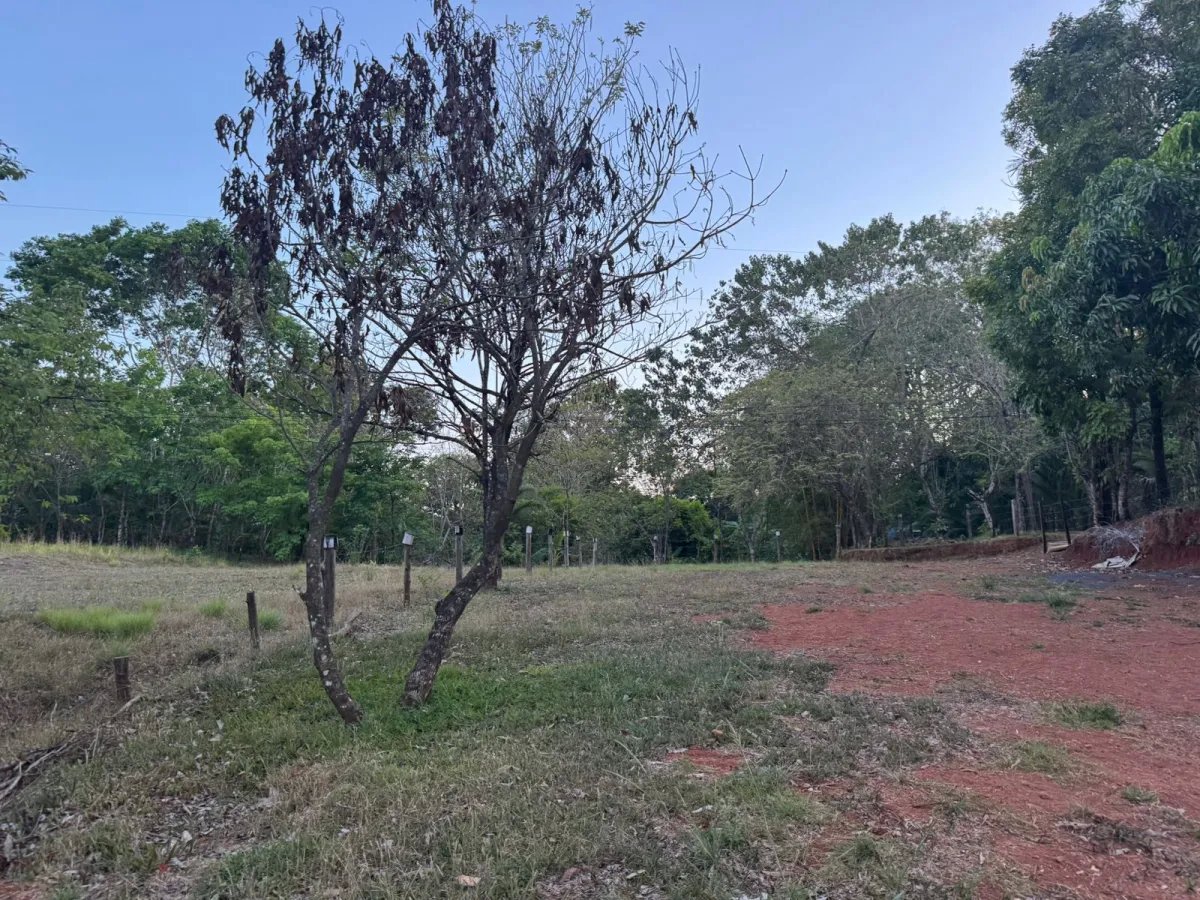 Land for sale in santa catalina, veraguas, panama- 450 m²