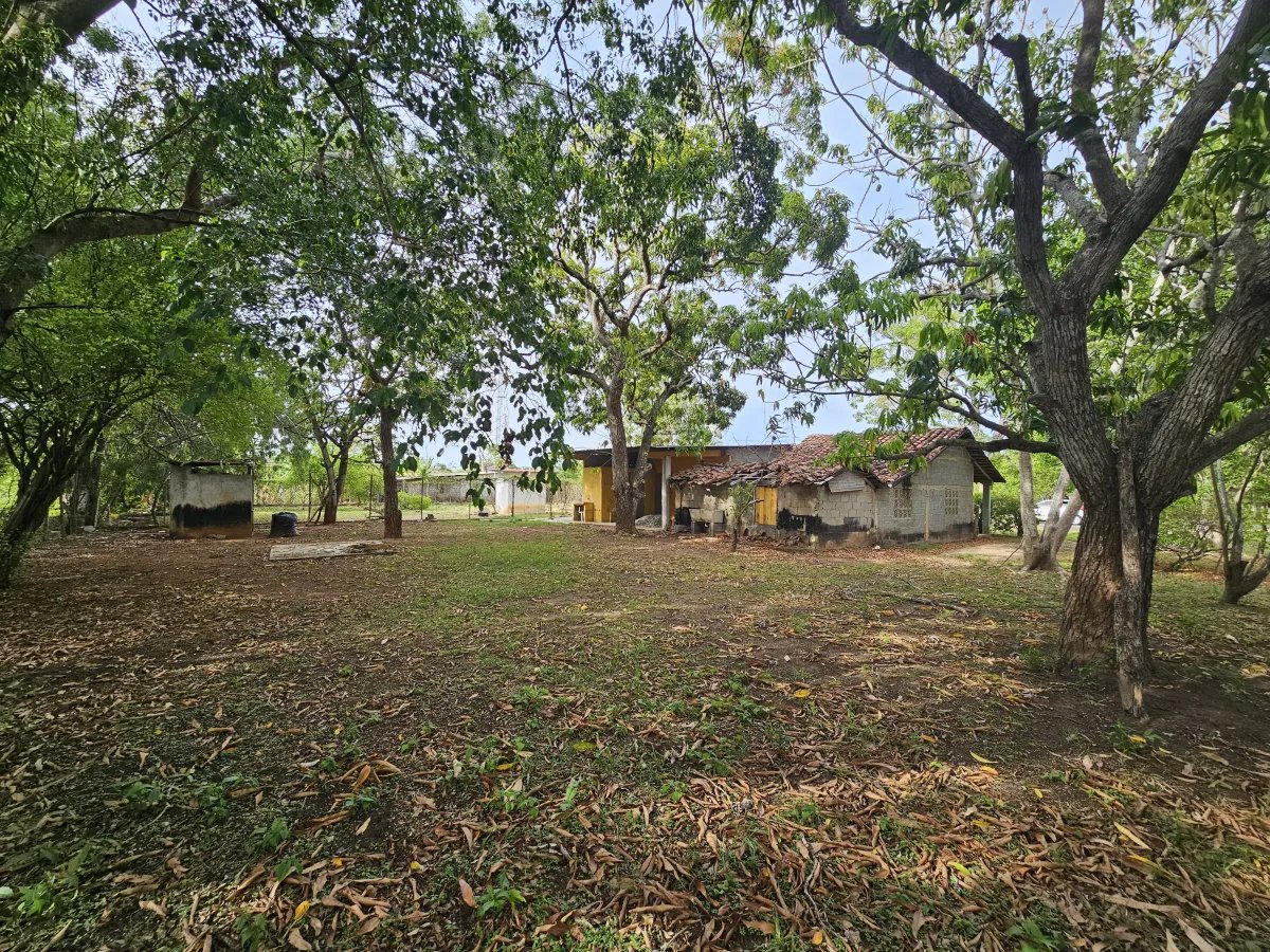 Se vende propiedad en centro de santa ana, los santos