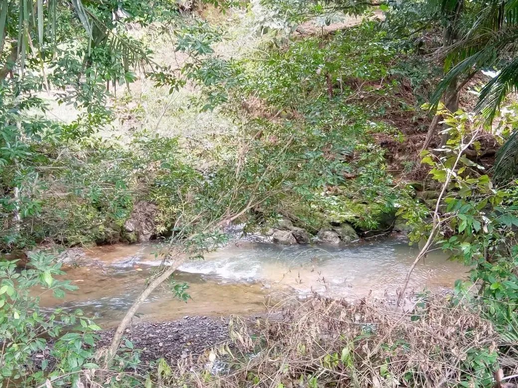 Venta de finca en tolú, los santos