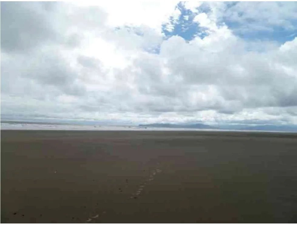 Venta de lote con vista al mar  playa madroño, los santos