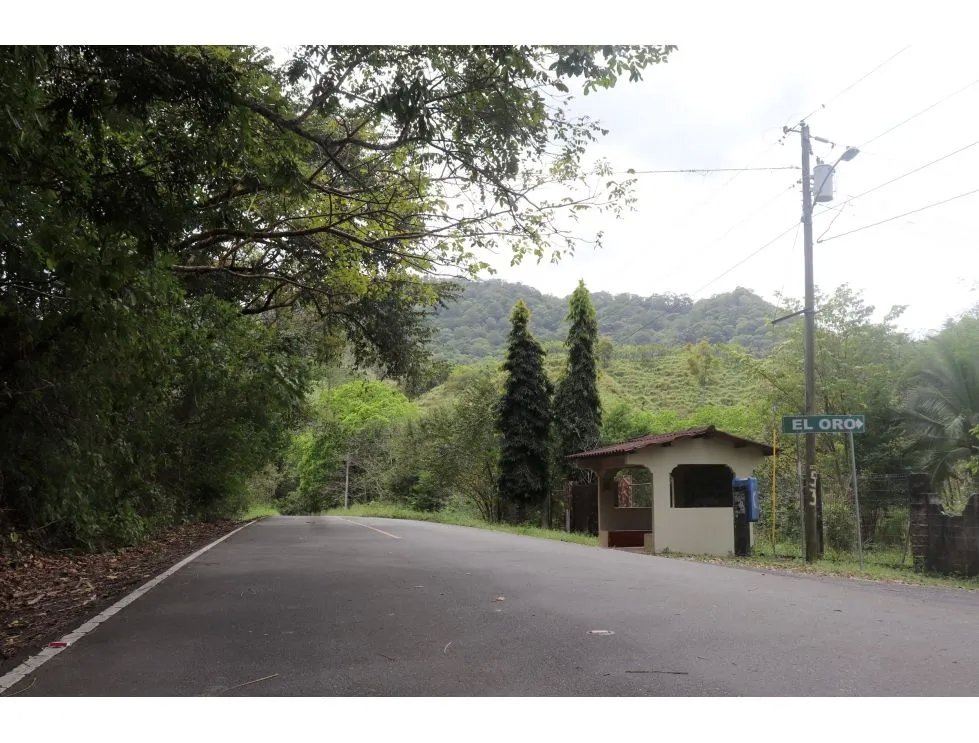Venta de finca  el loro, vía las tablas / tonosí
