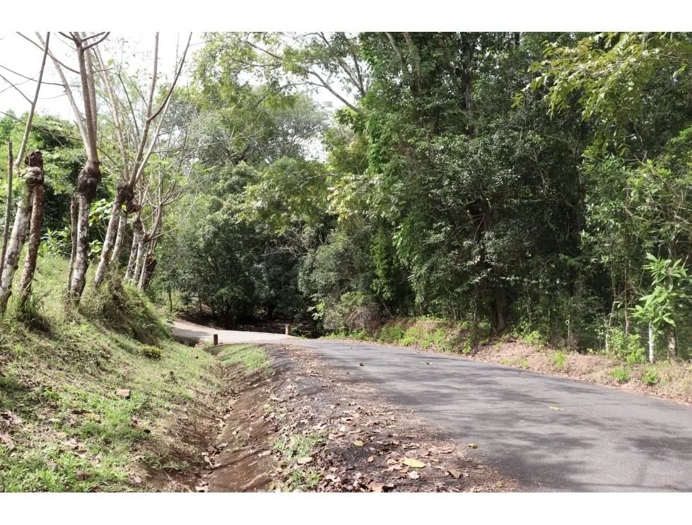 Venta de finca  el loro, vía las tablas / tonosí