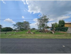 139713 - San carlos - properties - casamar