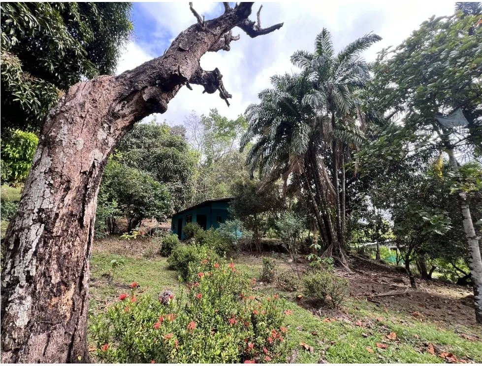 Venta de terreno con casa frente al río pacora, vía hacia san miguel