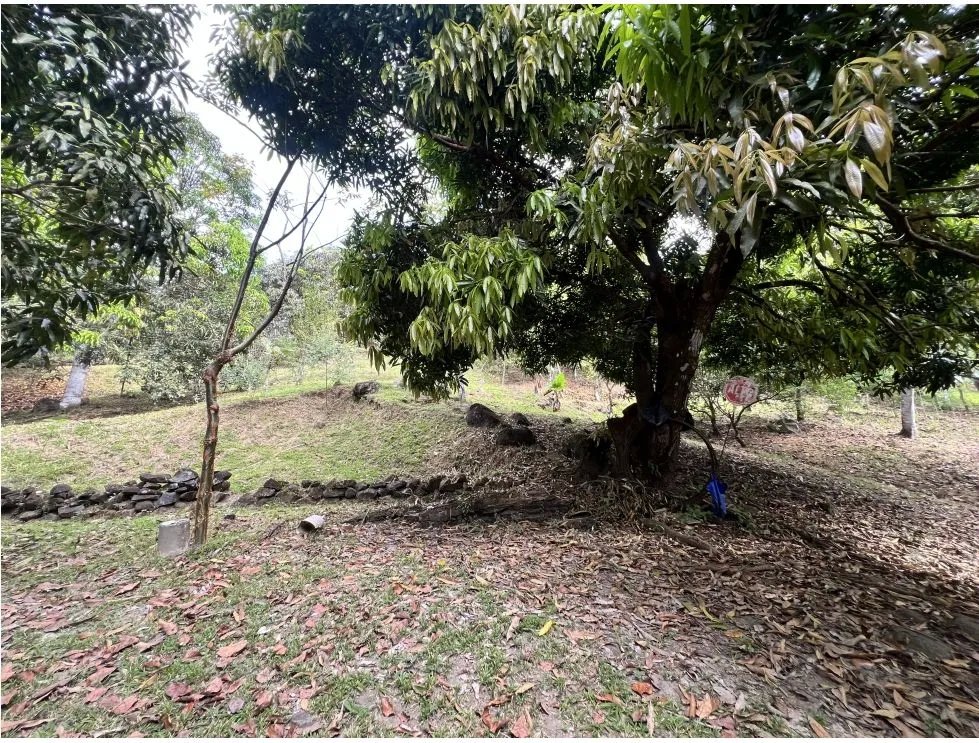 Venta de terreno con casa frente al río pacora, vía hacia san miguel