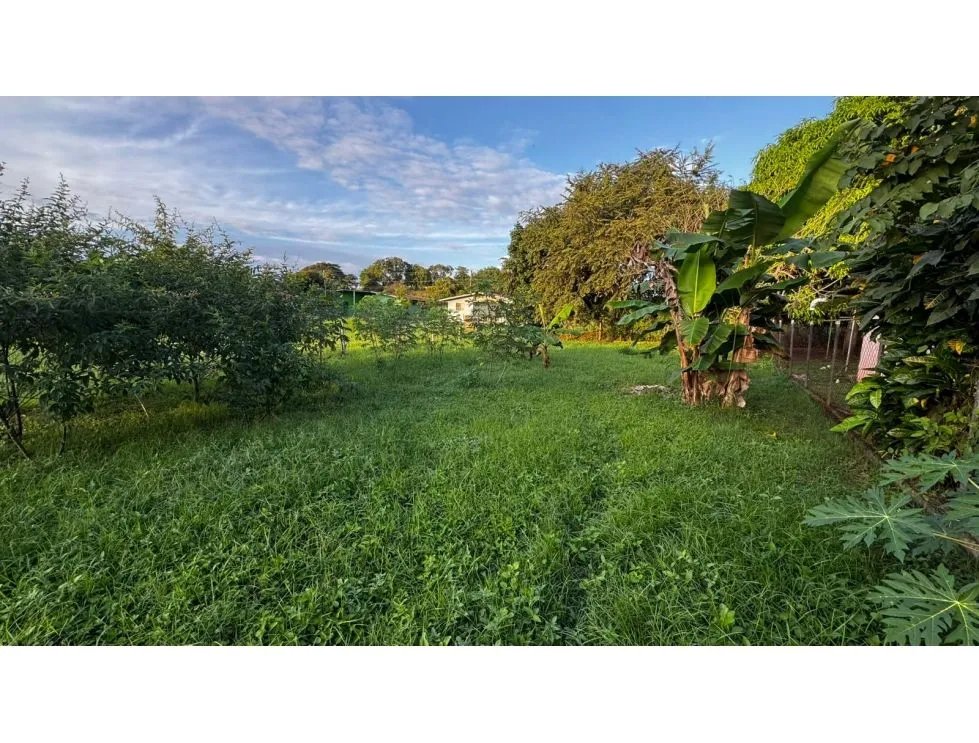 Venta de terreno en la primavera, las tablas.