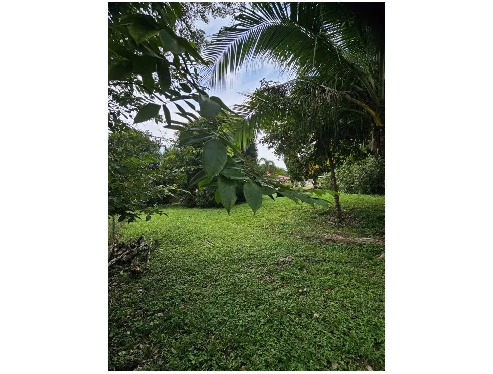 Venta de terreno con casa en cantarrana, chitré
