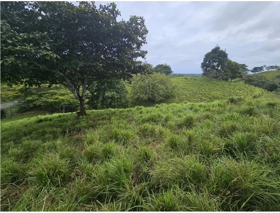 Venta de terreno en pedasí, a minutos de playa venao