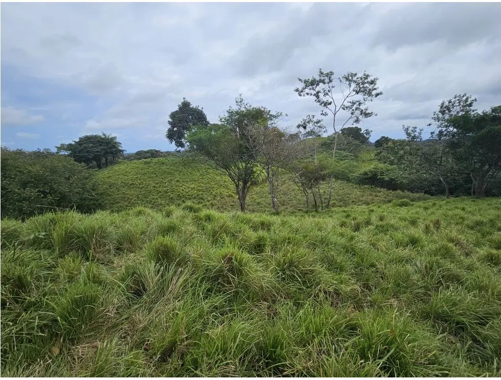 Venta de terreno en pedasí, a minutos de playa venao