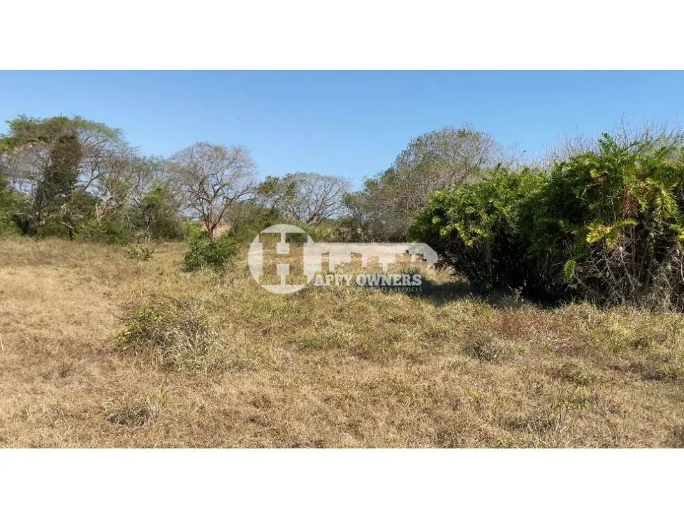 Se vende finca de 12 hectáreas, pocrí