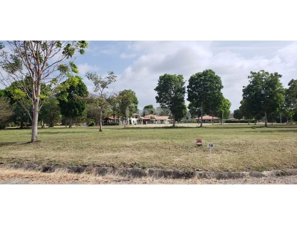 Se vende lote n°1b en ph la colonia