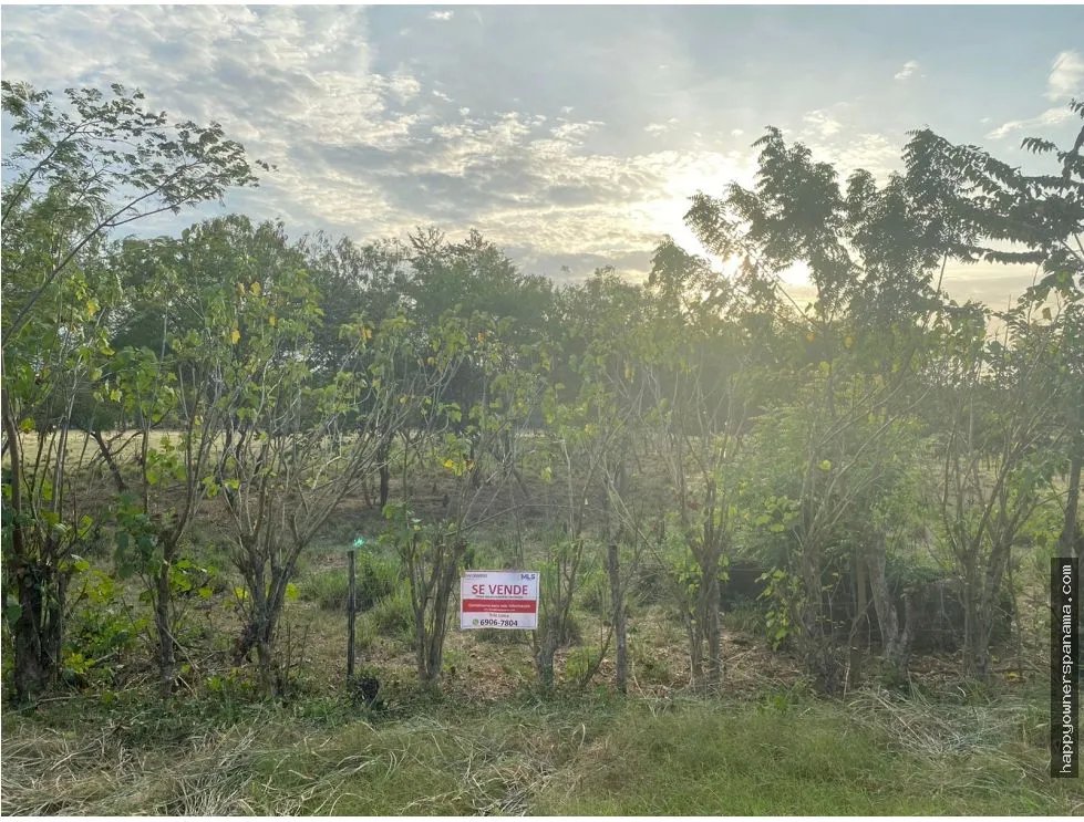 Venta de terreno frente a vía principal, guararé, los santos.