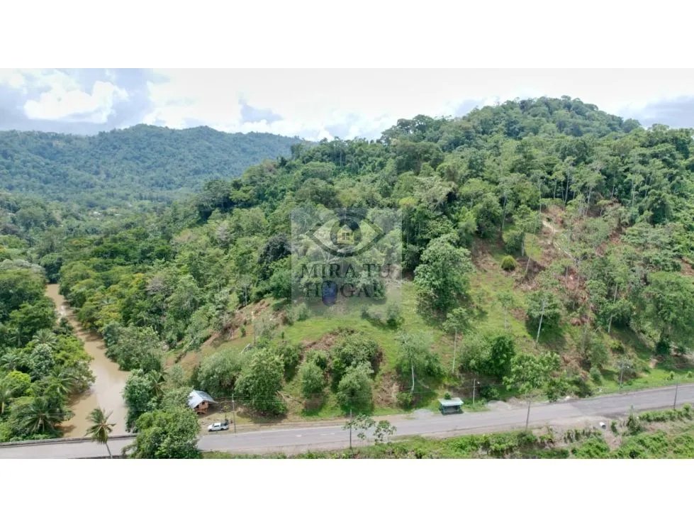 Se venden 20 hectáreas de terreno en río oeste, almirante
