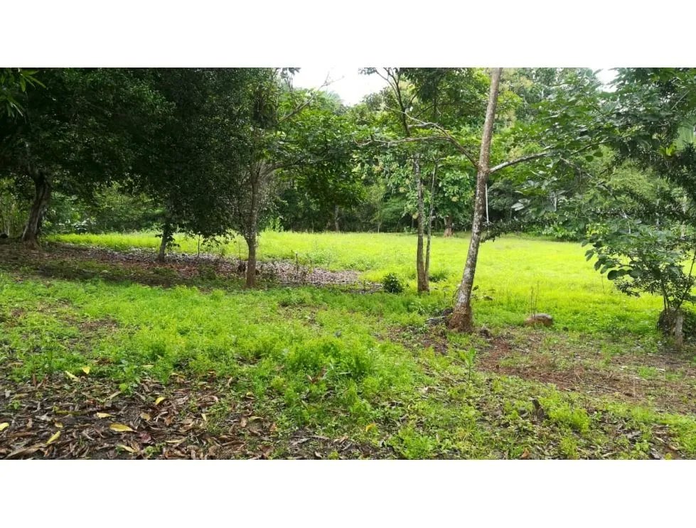 Venta de finca en tolú, los santos