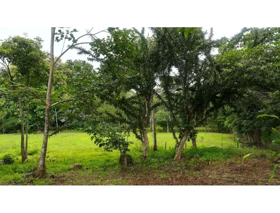 Venta de finca en tolú, los santos