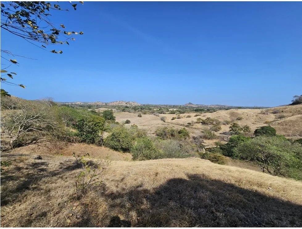 Venta de terreno de 2.2 hectáreas en guararé, los santos