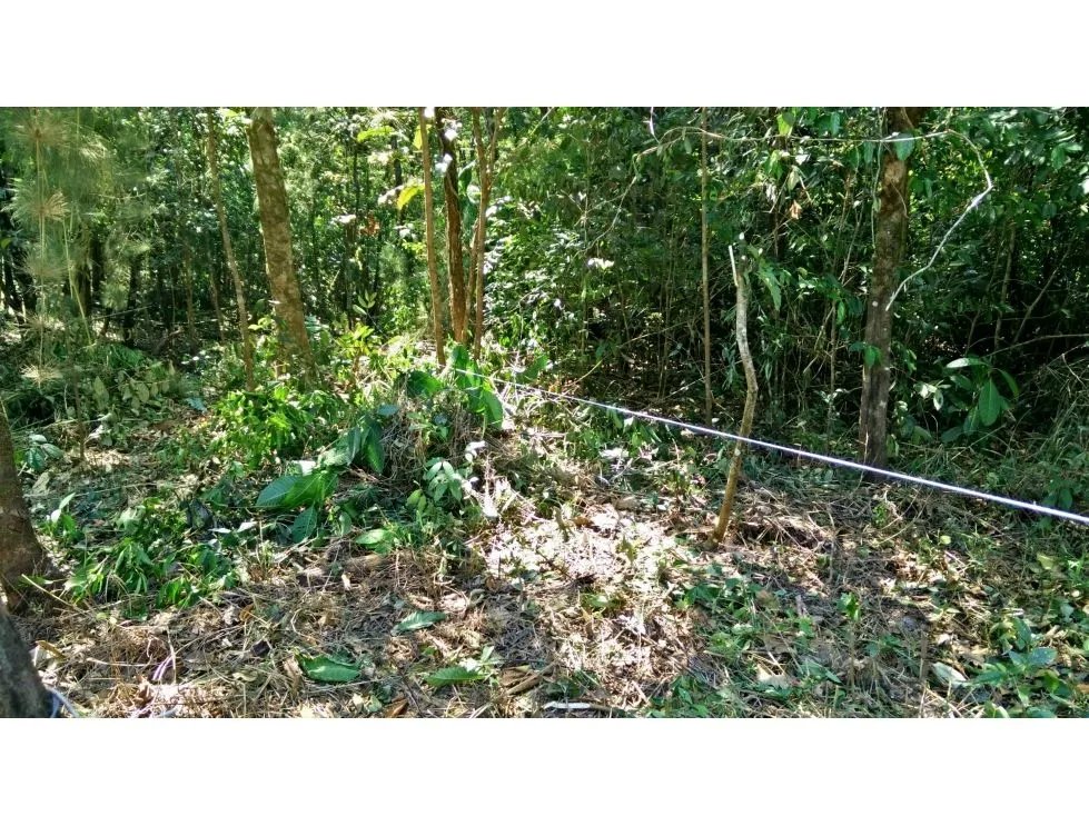 Venta de terreno en cerro azul