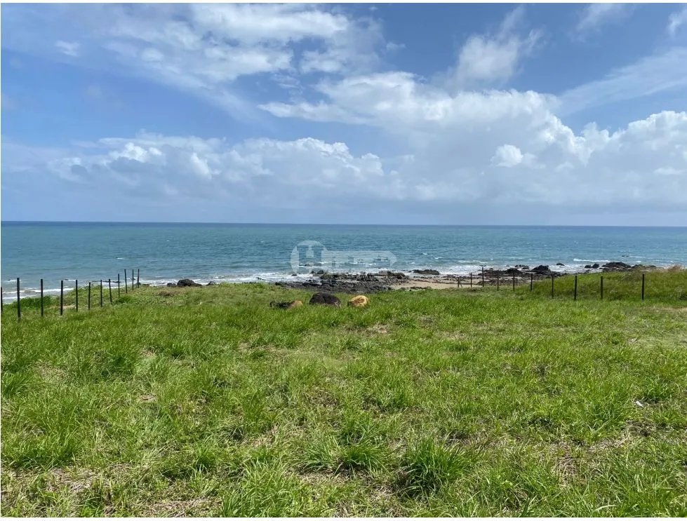 Venta de terreno frente al mar en pedasí