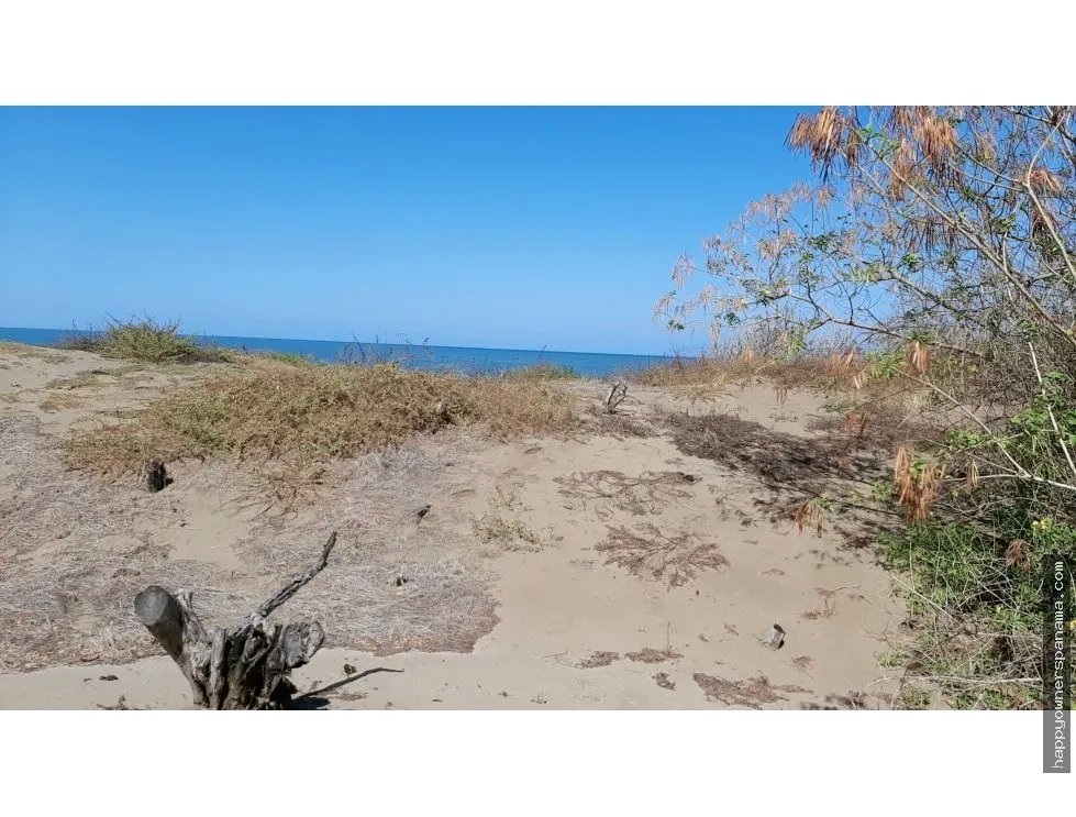 Venta de terreno frente al mar en pocrí, cerca de pedasí.