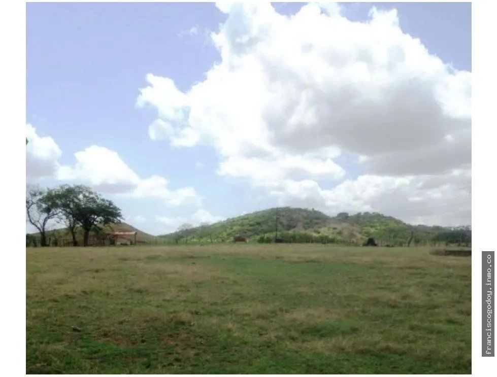 Venta de finca en pesé, herrera